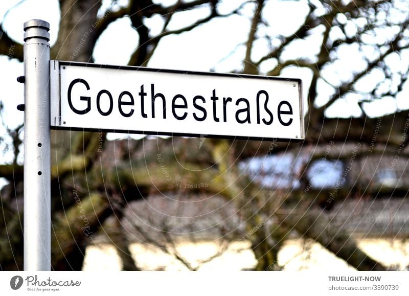 Modernes, weisses Straßenschild Goethestraße, freistehend an Aluminiumstange vor unscharfem Hintergrund (alter Baum, Häuserzeile, Himmel). Außenaufnahme