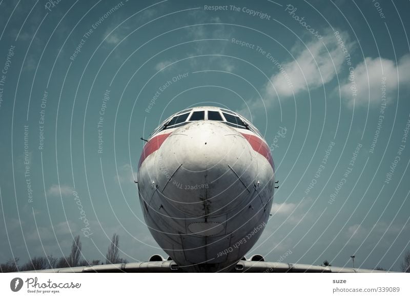 Nase vorn Luftverkehr Himmel Flugzeug Passagierflugzeug Fluggerät Flughafen Flugplatz Cockpit fliegen lustig nah rund blau frontal Farbfoto Gedeckte Farben