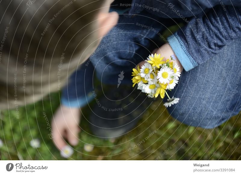 Muttertag Dankeschön danken Blumenstrauß Kindheit Blüte Frühling Blühend Farbfoto Liebe Duft