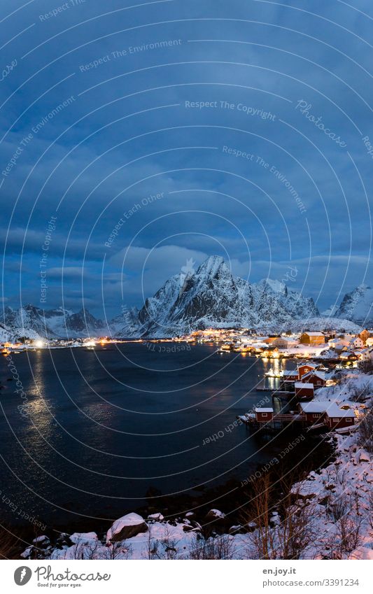 Reine auf den Lofoten Blau Urlaub berühmt Sehenswürdigkeit Kleinstadt Wasser Nacht Abend blaue Stunde Weitwinkel Idylle Licht Fischerdorf Insel