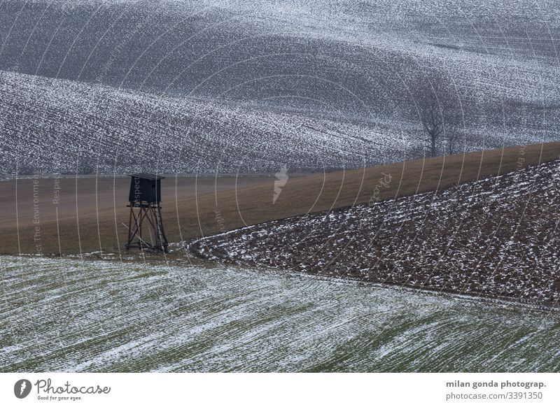 Ländliche Landschaft der Region Turiec in der Nordslowakei. Slowakische Republik ländlich Bereiche Jagdausguck Baum Winter Schnee Natur