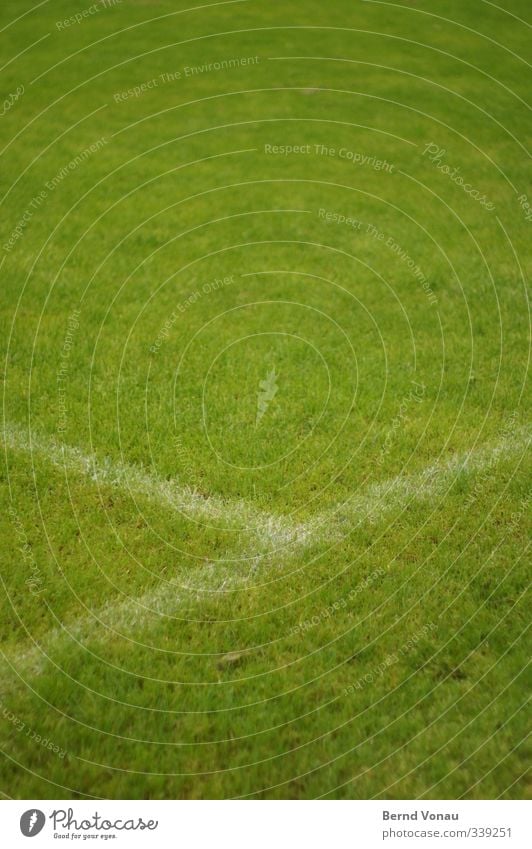 Strafraum Spielen Fußball Fußballplatz Sportplatz Sportrasen Gras Blick frisch grün weiß ruhig Verbindung Farbfoto Außenaufnahme Textfreiraum oben