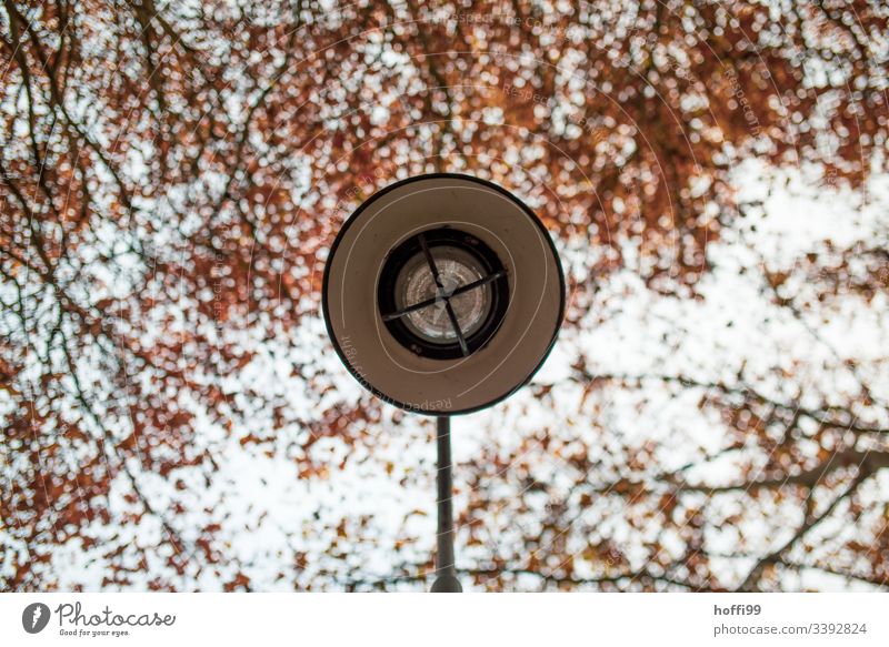 Licht an wird gleich dunkel ... Straßenbeleuchtung Lampe minimalistisch Laterne Leuchte Beleuchtung Himmel ästhetisch Schönes Wetter Wolken Herbst Herbstfärbung