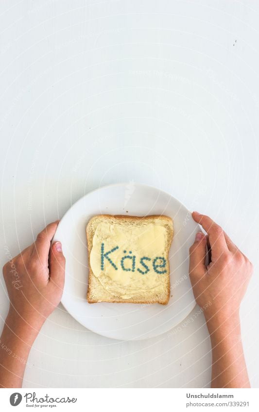 Brot mit Käse Lebensmittel Butter Ernährung Frühstück Vegetarische Ernährung Teller Hand Armut Billig hell einzigartig lustig weiß Gastfreundschaft beweglich