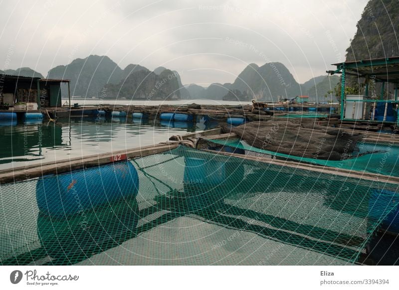 Schwimmendes Fischerdorf auf dem Wasser mit Fischfarm und Netzen in der Halong Bucht in Vietnan floating village schwimmendes Dorf Fischernetz Asien