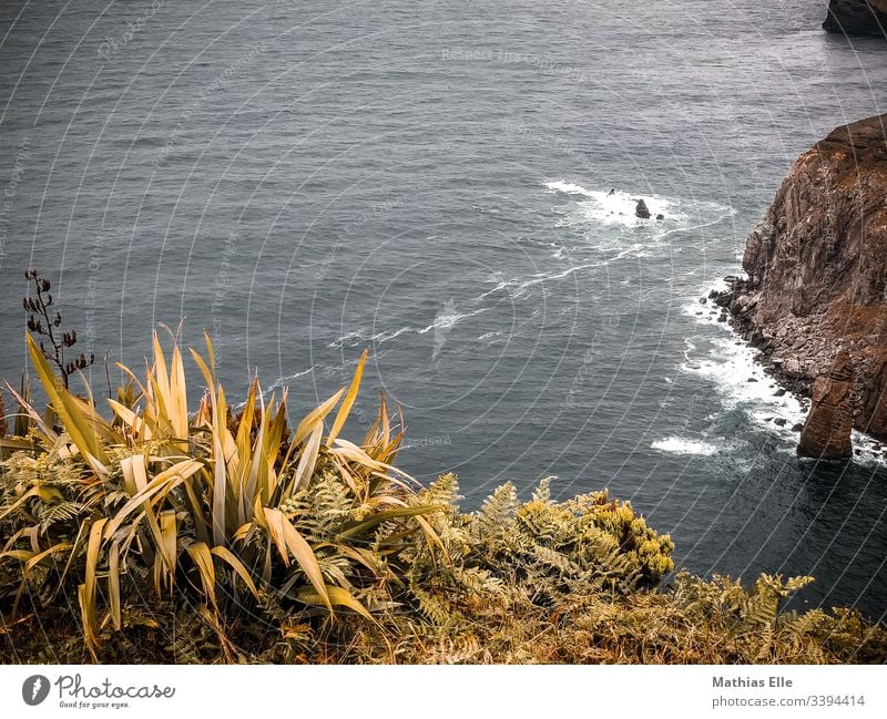 Atlantikküste auf den Azoren São Miguel Sao Miguel Küste Außenaufnahme braun Wolken Abenteuer Sommer Meer Wasser blau Vogelperspektive Tag Menschenleer Farbfoto