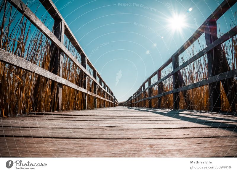 Holzsteg im Moor Steg Himmel Sonnenstrahlen Sonnenlicht Warm Heiß Holzmaserung Maserung Altes Holz Geländer Holzgeländer Schilf Sträucher Schilfrohr schilfhalm