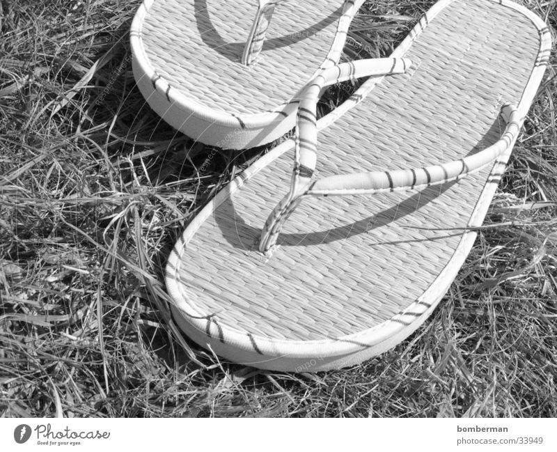 flipflops Flipflops Sandale Schuhe Gras Fototechnik