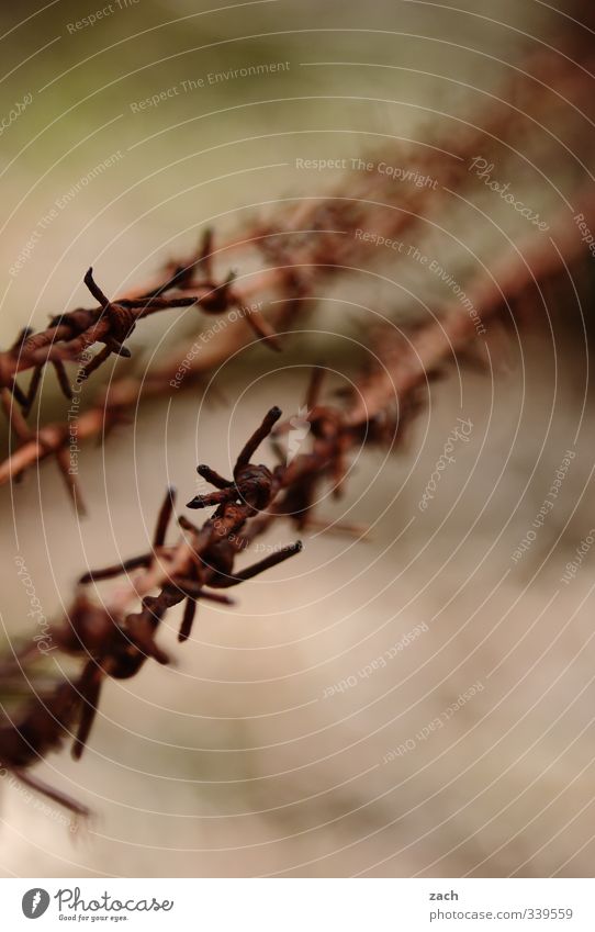 drinnnen und draußen Zaun Metall Rost bedrohlich trist braun Sicherheit Wachsamkeit Angst Verzweiflung Hass Ende Freiheit Verbote Grenze Stacheldraht