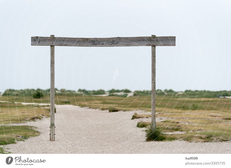 Sandweg durch die Dünen zum Meer Sandstrand Dühne Strandhafer Spuren Fußspuren im Sand Morgendämmerung Insel Sommer Ferien & Urlaub & Reisen Landschaft