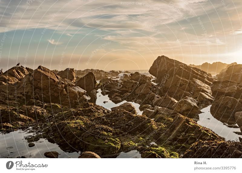 Sonnenuntergang am Atlantik Portugal Felsen Küste Strang sonnenuntergang Stimmungsvoll Himmel wolken schönes nasses Möven Porto