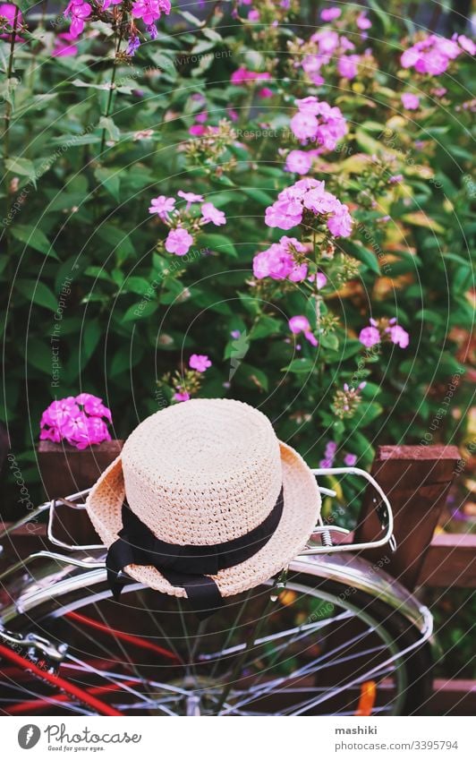 Retro-Fahrrad mit Blumenstrauß, Buch und Decke. Sommerliches Picknick am Wochenende, Ferien auf dem Lande verbringen lesen altehrwürdig Frühling Korb Garten