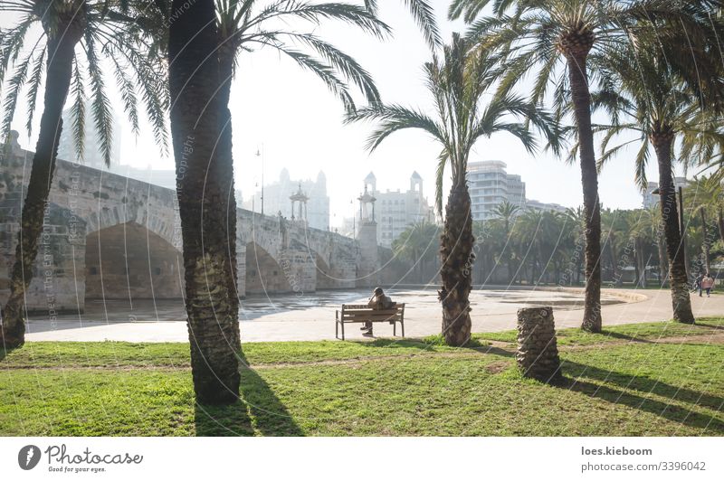 Turia-Flusspark unter der Puente del Mar, Valencia, Spanien Park Brücke puente del mar Architektur Gebäude Großstadt Stadtbild Wahrzeichen Spanisch reisen turia