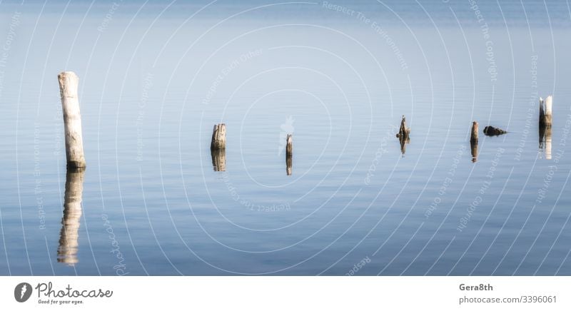 Holzpfähle im ruhigen Seewasser am Nachmittag im Herbsthintergrund Herbstansicht Hintergrund blau Windstille Klima Farbe Spalte Wassersäule Tag Idylle