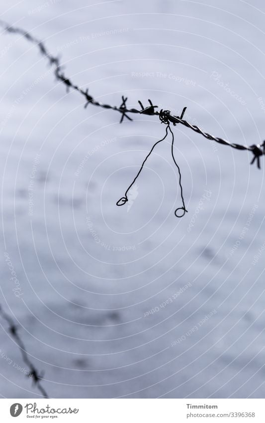 marsj - erste Schritte des Künstlers mit der Vorliebe für zarte Drahtfiguren Stacheldraht Winter Schnee Außenaufnahme kalt Farbfoto Zaun Menschenleer