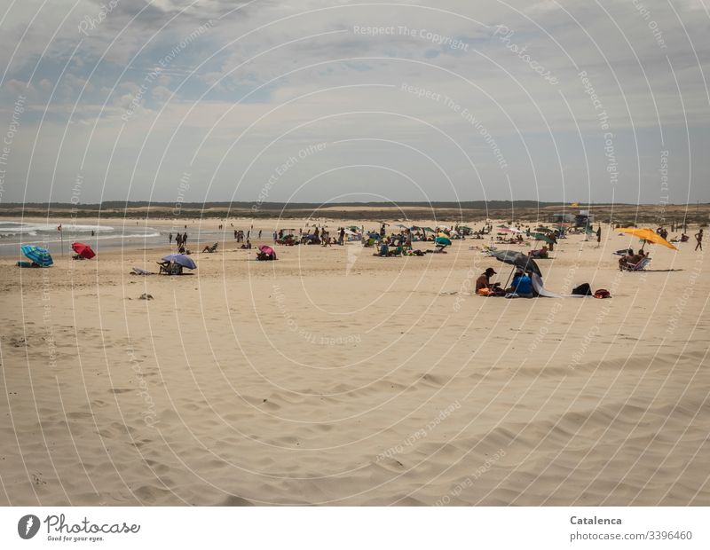 Gut besuchte, weite Strandlandschaft an einem heißen Sommertag Ferien & Urlaub & Reisen Erholung Küste Sand Menschen Meer Himmel Außenaufnahme Farbfoto