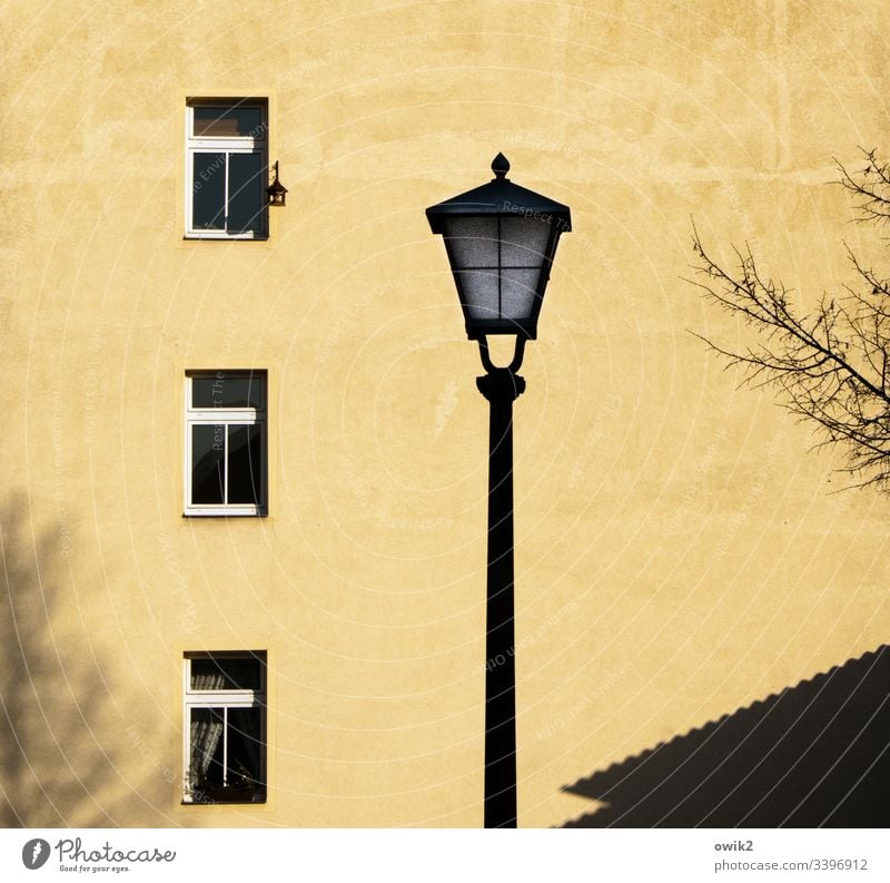 Traum in Senfgelb Wand Fassade Haus Gebäude Fenster Laterne Straßenbeleuchtung Silhouette Baum Zweige trist Ruhe Stille urban übereinander Etagen Wohnhaus