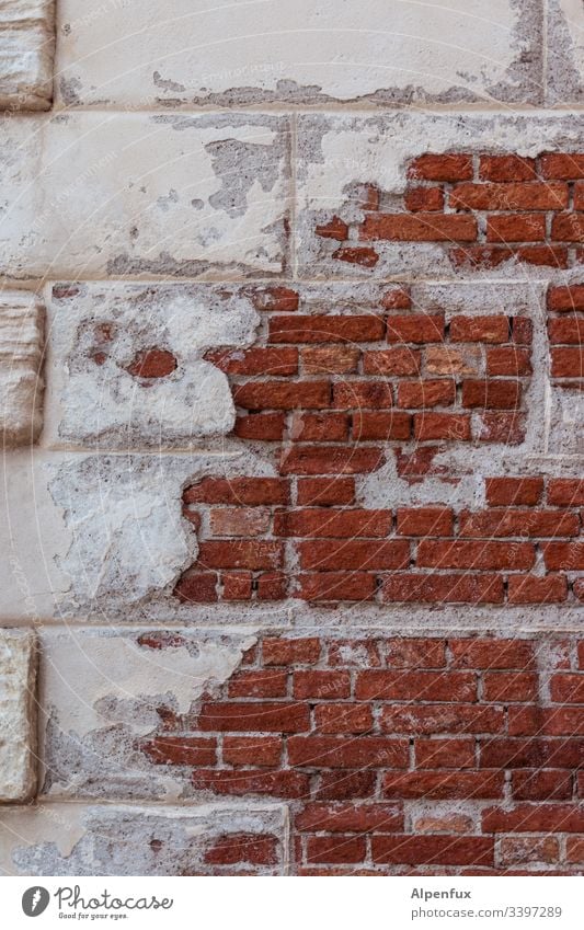 marode Insel Mauer kaputt alt Wand Verfall Vergänglichkeit Detailaufnahme Menschenleer Farbfoto Tag Außenaufnahme Fassade Backstein Backsteinwand verfallen Putz