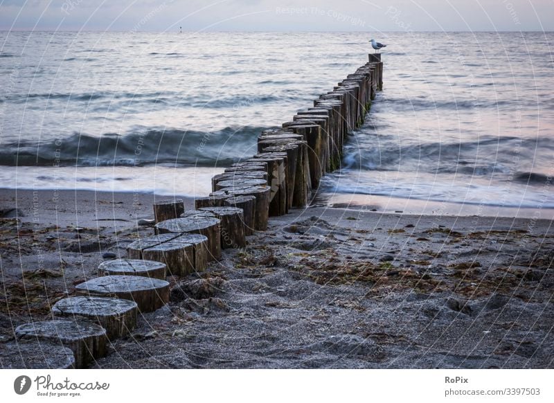 Abend am Ostseestrand Strand beach Küste Meer sea Ozean Sandstrand Buhnen Pfahl pfähle strandbefestigung Natur Naturgewalten Gezeiten tides Sommer Sommerurlaub