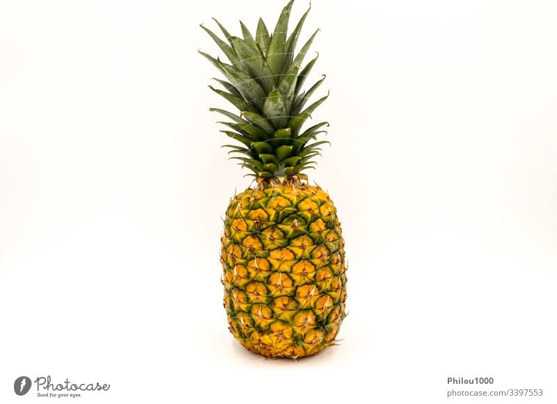 Ananas, eine reife, frische, ganze Frucht Hintergrund Farbbild ausschneiden deskriptiv Details Diät Lebensmittel Frische Vorderseite Vorderansicht grün