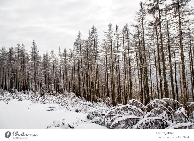 Harzer Winterlandschaft Weitwinkel Panorama (Aussicht) Zentralperspektive Starke Tiefenschärfe Licht Tag Textfreiraum Mitte Textfreiraum unten