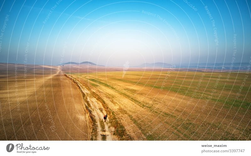 Luftaufnahme eines gepflügten landwirtschaftlichen Feldes. Feldweg durch Ackerland Panorama Ackerbau Straße sonnig natürlich Bauernhof ländlich Antenne Umwelt