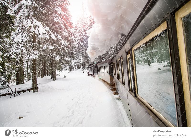 Harzer Schmalspurbahn im Winter Ferien & Urlaub & Reisen Gleise Freiheit Dampfwolke Schienen Schneedecke Natur Schönes Wetter Ausflug Winterurlaub Abenteuer