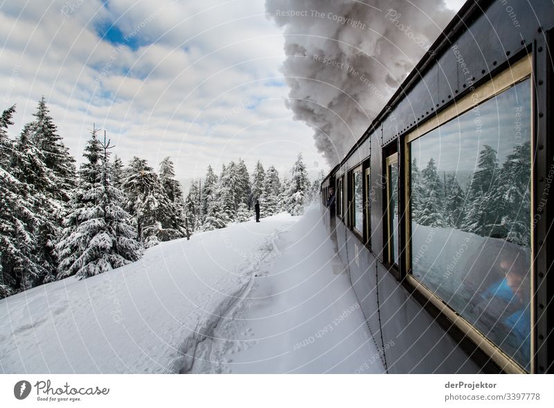 Mit dem Zug durch den winterlichen Harz III Sympathie Textfreiraum unten Außenaufnahme mehrfarbig Sachsen-Anhalt Farbfoto Menschenleer Textfreiraum rechts