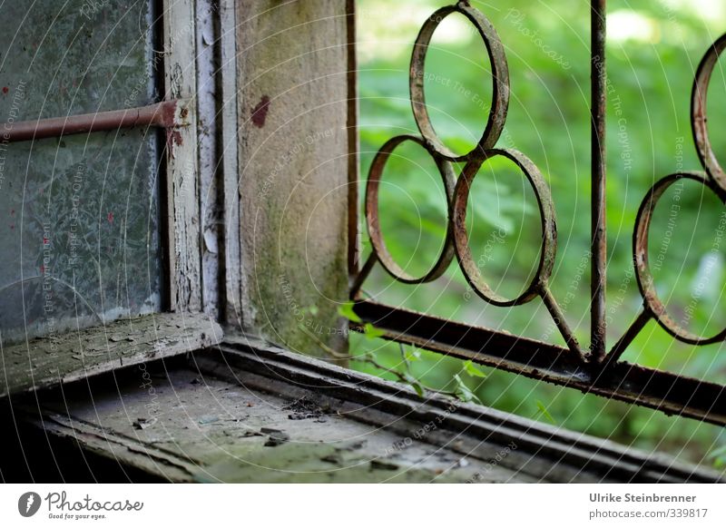 Ins Grüne I / AST 5 Beelitz Design Sommer Haus Garten Renovieren Natur Gras Sträucher Park Ruine Bauwerk Gebäude Architektur Mauer Wand Fenster Stein Beton Holz