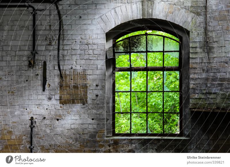 Ins Grüne II / AST 5 Beelitz Renovieren Natur Sommer Sträucher Garten Park Industrieanlage Bauwerk Gebäude Architektur Mauer Wand Fenster Stein Metall alt