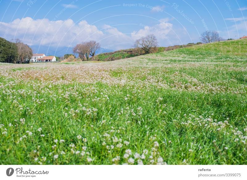 Bäuerliches Haus auf der grünen Wiese an einem bewölkten Tag Baum Landschaft Gras Feld Blume Hügel Anwesen träumen schön im Freien Pflanze Villa Frühling Sonne