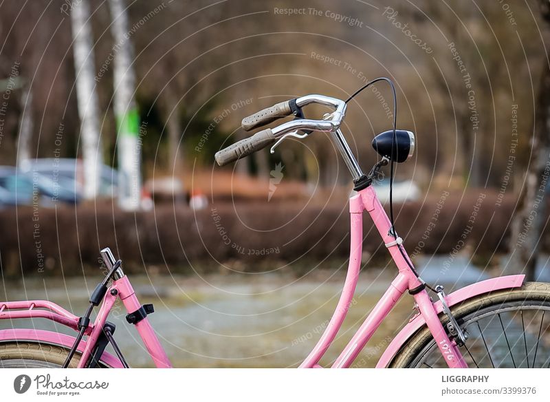 Altes Fahrrad Verkehr alt Fahradständer fahradfahren verlohren Finderlohn Diebstahl kapputt gestohlen wörthersee Urlaub Ironman lila Sattel Außenaufnahme