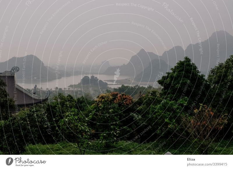 Grüne mystische Landschaft mit Flüssen, Hügeln und Nebel in Asien landschaft grün nebelig Außenaufnahme Natur Farbfoto Berge u. Gebirge Wald