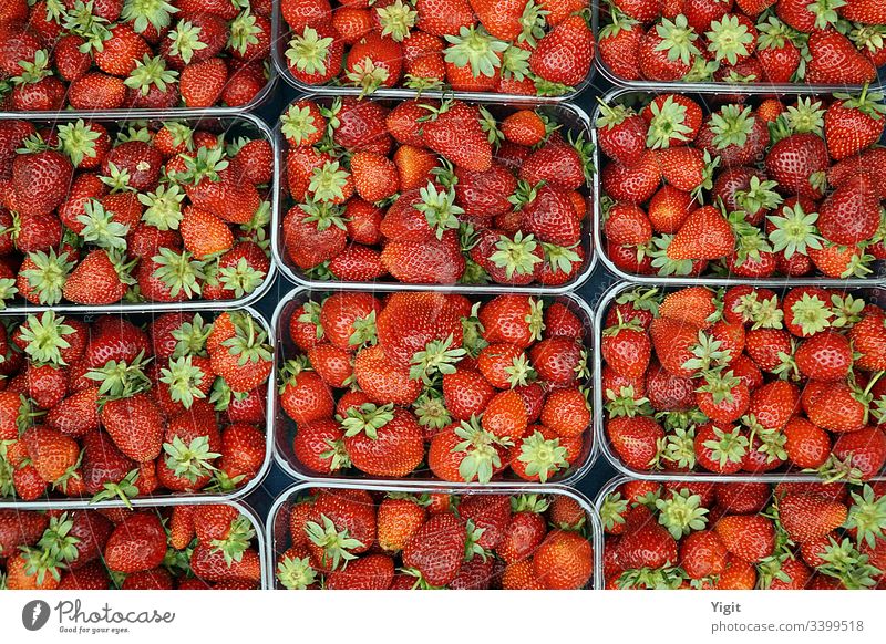 Erdbeeren auf dem lokalen Markt ausgestellt reif Ernährung Beeren Gesundheit Farbe Nahaufnahme Ackerbau Hintergrund Basar Bodrum Bodrum-Truthahn lecker Dessert