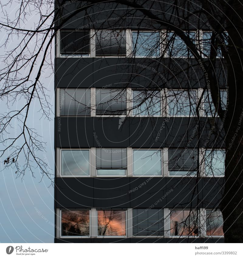 das letzte Sonnenlicht im Fenster - es wird ungemütlich Fassade Reflexion & Spiegelung Baum trist Glasfassade Blätter Tristesse dunkel düster elegant urban