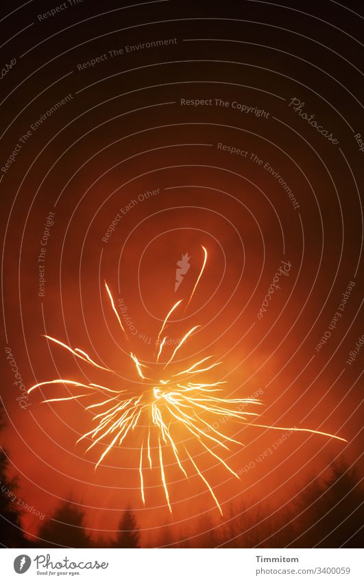 HAPPY BIRTHDAY PHOTOCASE ZUM 19. GEBURTSTAG Feuerwerk Leuchtspuren Himmel Dunst Nacht Wald Bäume Fichten schwarz rot orange gelb Feier Happy Birthday