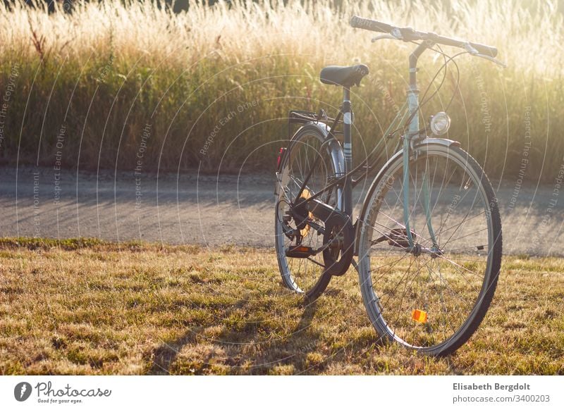 altes Fahrrad fahrrad Urlaub altes fahrrad ausflug fahrradfahren sommer Fitness sonnenschein Sport