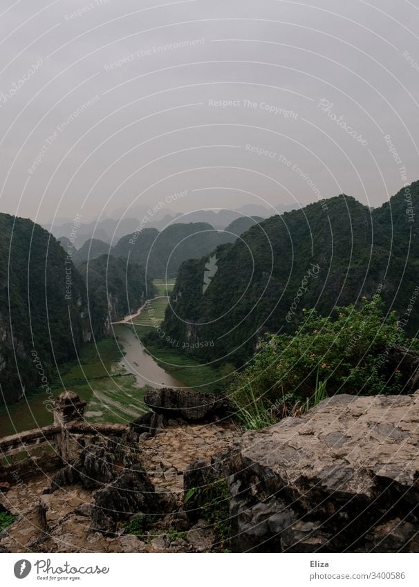 Aussicht auf grüne Landschaft und Reisfelder vom Hang Mua Viewpoint in Ninh Binh, Vietnam vietnam aussicht Berg Tal Weite Tourismus Sehenswürdigkeit Natur