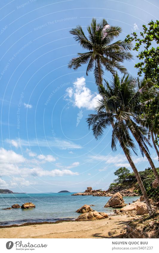 Touristengebiet Hon Chong. Eine wunderschöne Landschaft von Nha Trang- Khanh Hoa - Vietnam . Betrachten Sie sie mit weißen Wolken vor einem weiten blauen Himmel. Ein wunderschönes Bild, mit hohen Kokosnussbäumen, die sich auf den romantischen goldenen Sand stützen, riesigen Felsen, die zu interessanten