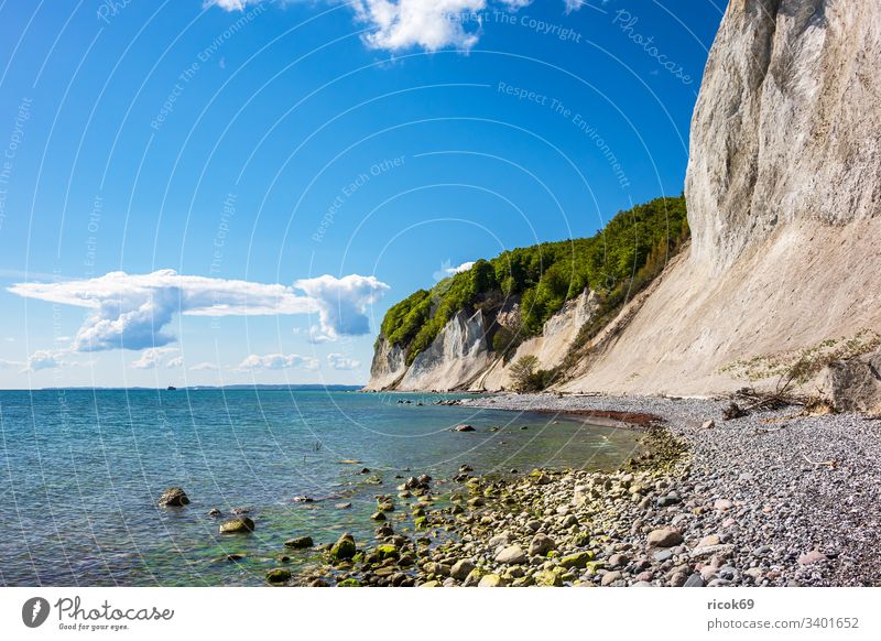 Kreidefelsen auf der Insel Rügen. Küste Ostsee Ostseeküste Bäume Steilküste Meer Himmel Wolken blau Mecklenburg-Vorpommern Stubbenkammer Sassnitz Jasmund