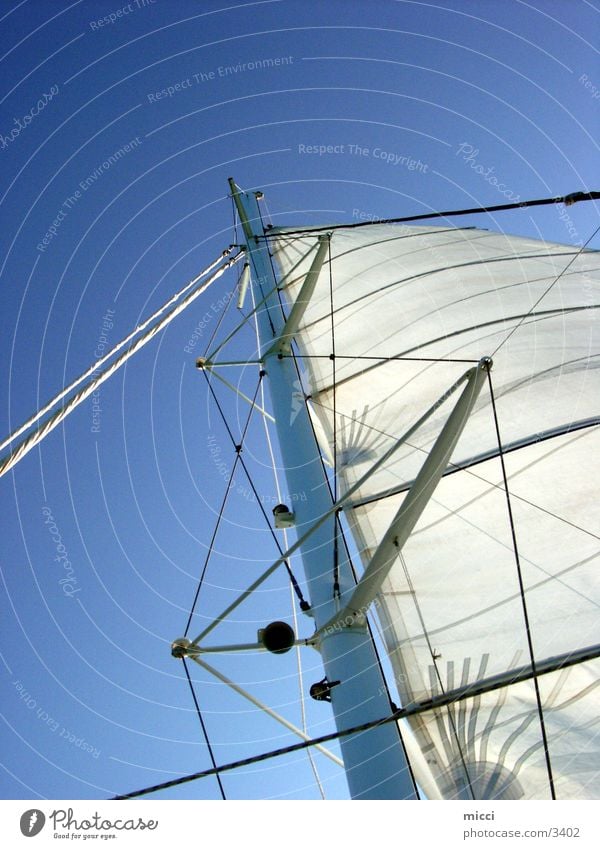 Segel im Wind Segeln Meer Wasserfahrzeug Katamaran Ferien & Urlaub & Reisen Sport Himmel