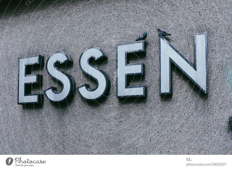 essen Vögel Vogel Taube tauben Buchstaben Typographie Wand grau trist Tristesse Hauptbahnhof Stadt Tier Menschenleer Wildtier 2 Außenaufnahme Textfreiraum oben