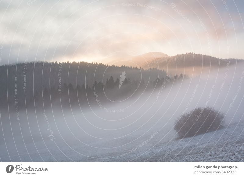 Blick auf den Nationalpark Velka Fatra in der Region Turiec, Slowakei. Slowakische Republik Landschaft Natur Berge Karpaten Wald niedrige Wolken Abend Nebel