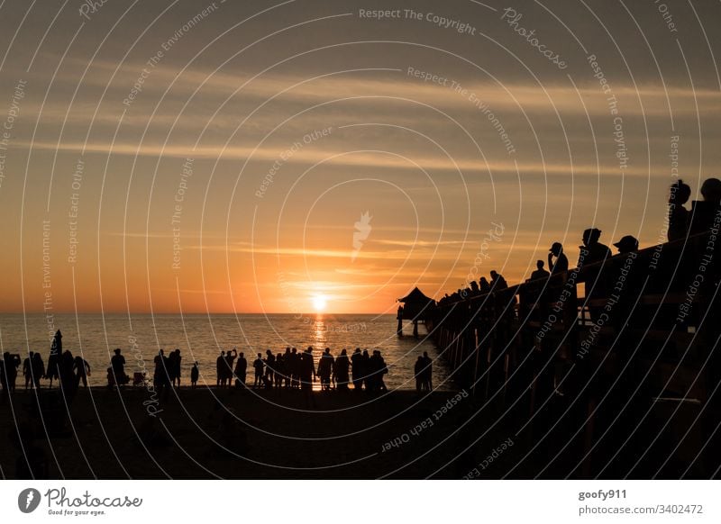 Naples Pier Sundowner Sonnenlicht Farbfoto Außenaufnahme Gegenlicht Sonnenstrahlen Sonnenuntergang Licht Himmel Silhouette Florida Abend Dämmerung Meer Ozean