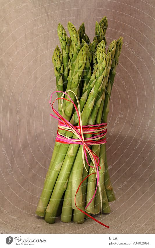 Grüner Spargel im Bund, gehalten mit buntem Band mit Stil, vor brauner Wand zur gesunden Spargelzeit im Frühjahr. grüner spargel Gesundheit Gesunde Ernährung