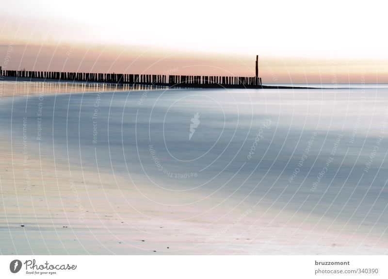 Noordzee Urelemente Wasser Küste Strand Meer Nordsee Nordseestrand Nordseeküste Sand blau rosa Coolness Buhne abstrakt Menschenleer Pastellton Gedeckte Farben