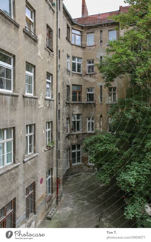 Hinterhof Berlin Prenzlauer Berg Baum Stadt Menschenleer Außenaufnahme Hauptstadt Farbfoto Altbau Bauwerk Wand Fassade Altstadt Fenster Häusliches Leben Haus