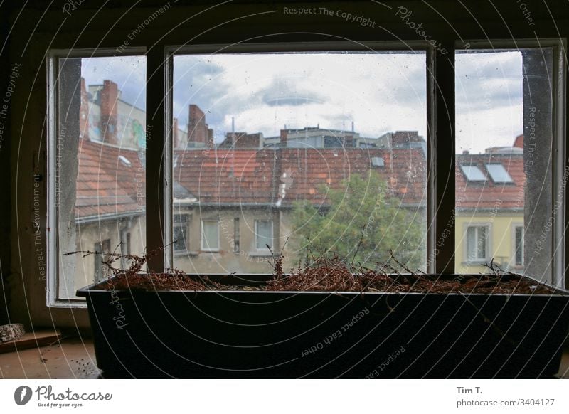 Hoffenster Fenster Hinterhof Architektur Haus Farbfoto Tag Stadt Menschenleer Bauwerk Altstadt Prenzlauer Berg Berlin Altbau Blick nach oben Stadtzentrum