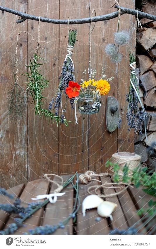 Kräuter hängen zum Trocknen am Ast trocknen Rosmarin Lavendel Kapuzinerkresse pflanzen Kräuter & Gewürze Knoblauch Schnur Garten Ringelblume Holz