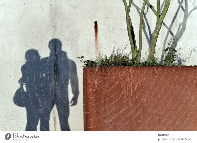 Schatten an der Wand  - Pärchen mit Baum Paar Freunde Zuneigung Liebe Liebende Empathie forever young Partnerschaft Verliebtheit zusammengehörig Glück